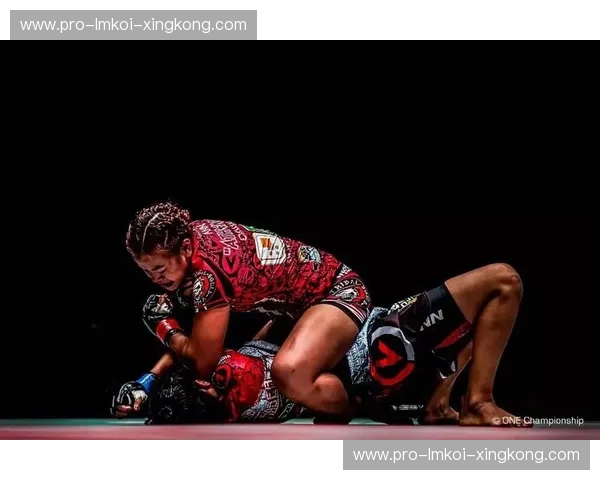 综合格斗协会——在格斗里遇见更强大的自己